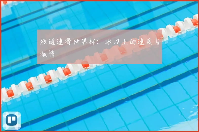 短道速滑世界杯：冰刀上的速度与激情