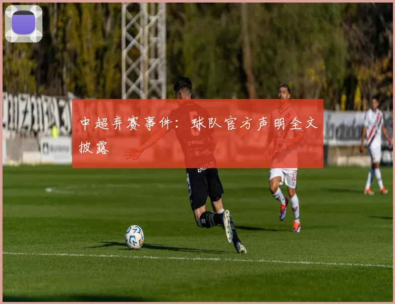 中超弃赛事件：球队官方声明全文披露