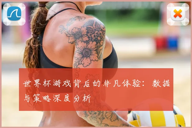 世界杯游戏背后的非凡体验:数据与策略深度分析