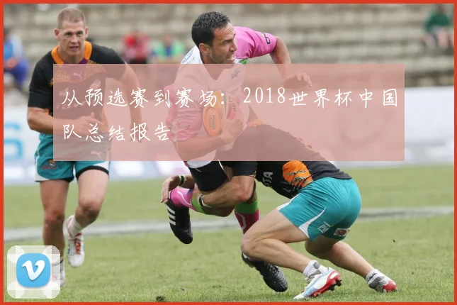 从预选赛到赛场：2018世界杯中国队总结报告